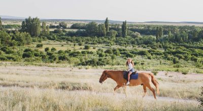 una-ragazza-cavalca-un-cavallo-in-un-campo-2023-11-27-04-58-55-utc