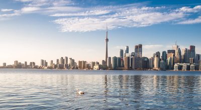 Skyline de Toronto et cygnes - Toronto, Ontario, Canada nageant sur